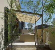 植栽で住まいにみずみずしさを出しましょう！緑のある暮らしのコツを解説します！